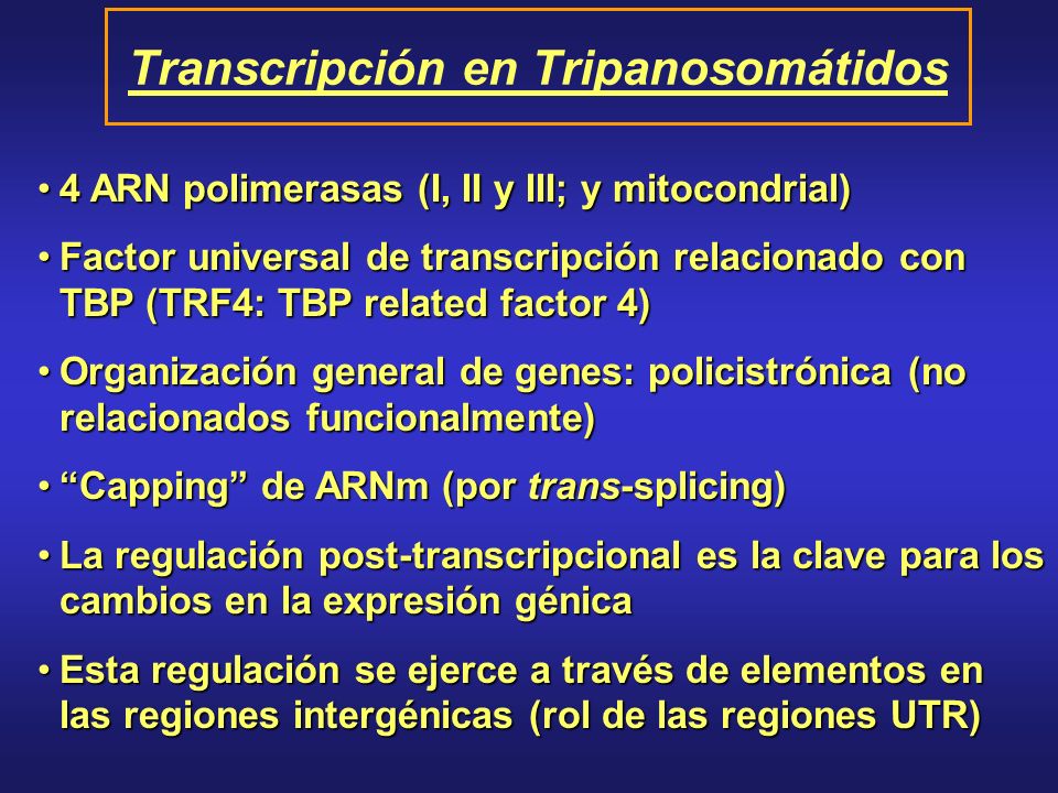 Transcripción en Tripanosomátidos