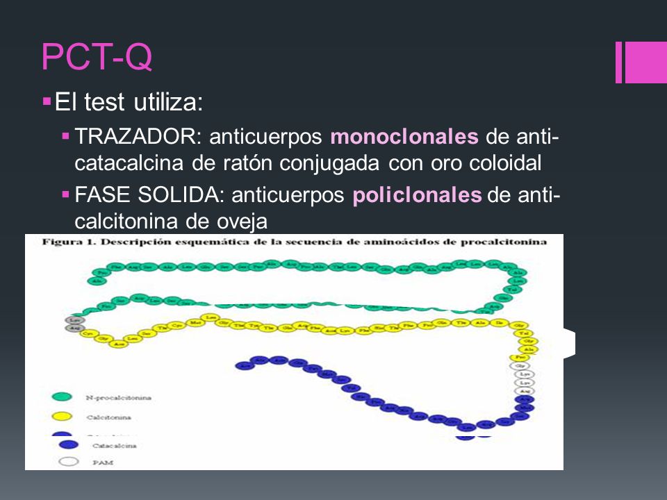 PCT-Q El test utiliza: TRAZADOR: anticuerpos monoclonales de anti-catacalcina de ratón conjugada con oro coloidal.