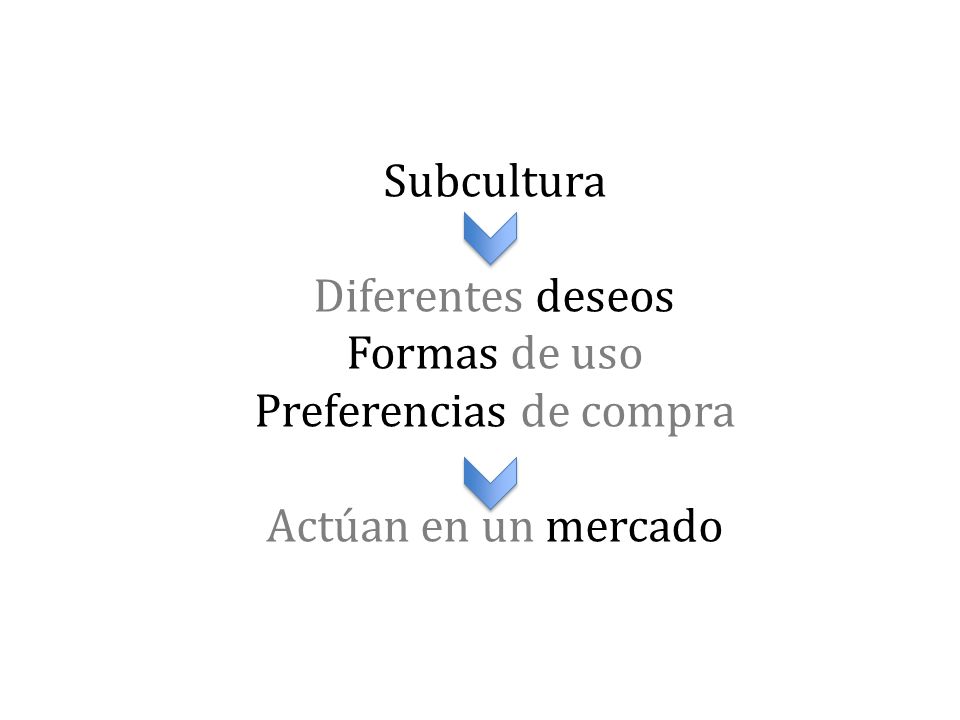 Subcultura Diferentes deseos Formas de uso Preferencias de compra Actúan en un mercado