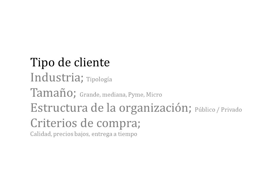 Tipo de cliente Industria; Tipología Tamaño; Grande, mediana, Pyme, Micro Estructura de la organización; Público / Privado Criterios de compra; Calidad, precios bajos, entrega a tiempo