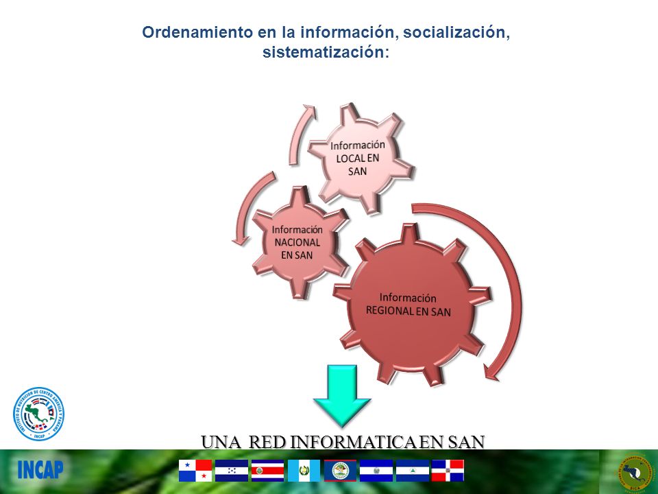 Ordenamiento en la información, socialización, sistematización: