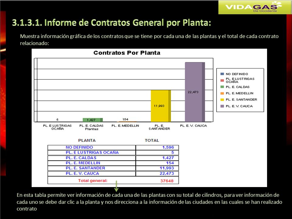 Informe de Contratos General por Planta: