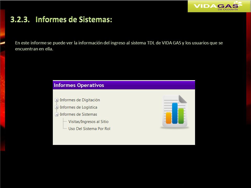 Informes de Sistemas: En este informe se puede ver la información del ingreso al sistema TDL de VIDA GAS y los usuarios que se.