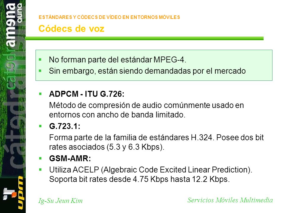 Códecs de voz No forman parte del estándar MPEG-4.