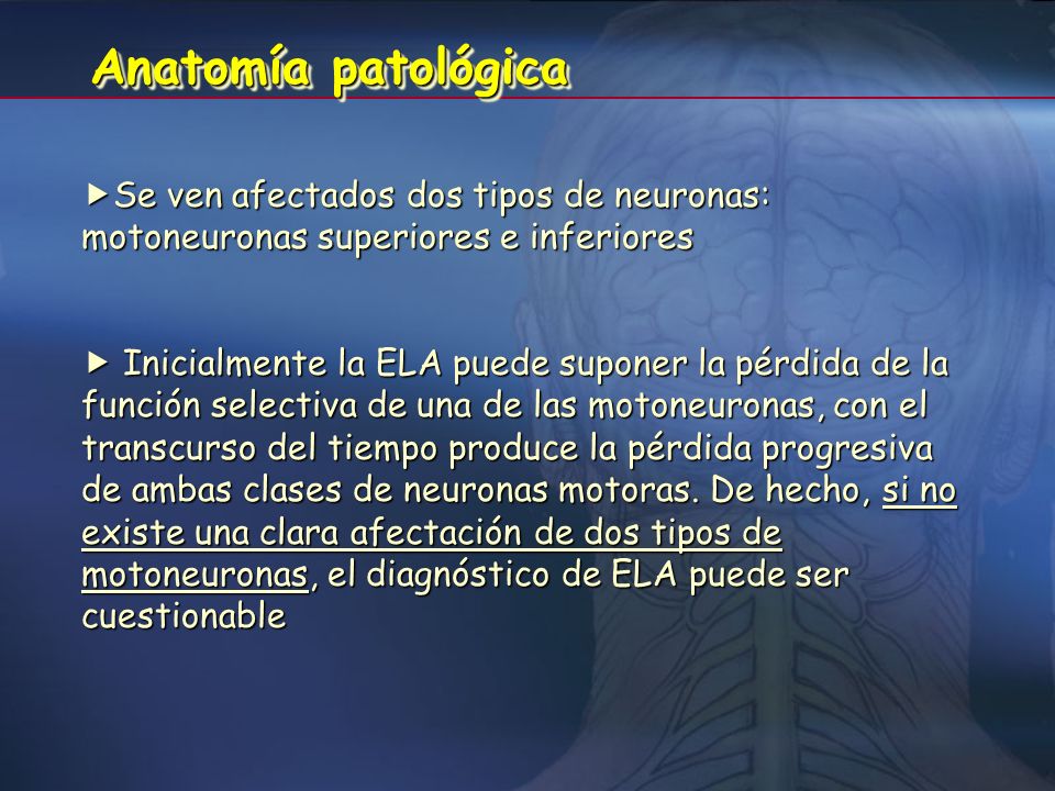Anatomía patológica Se ven afectados dos tipos de neuronas: motoneuronas superiores e inferiores.