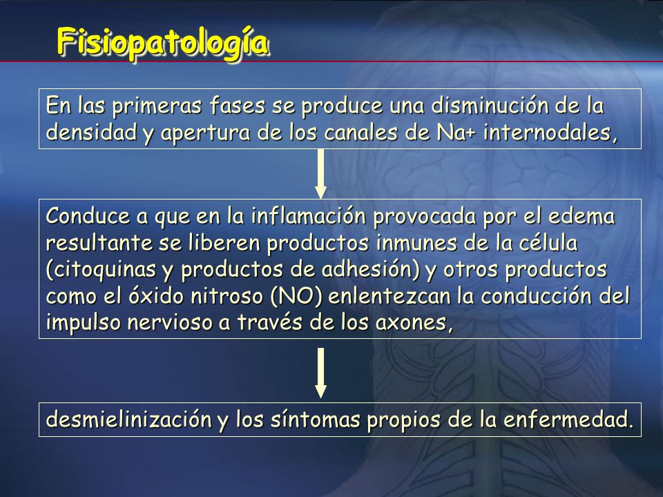 Fisiopatología En las primeras fases se produce una disminución de la densidad y apertura de los canales de Na+ internodales,