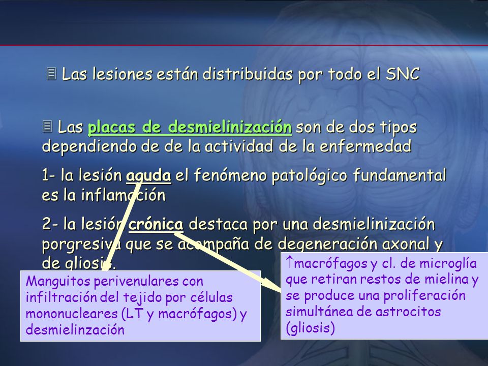  Las lesiones están distribuidas por todo el SNC