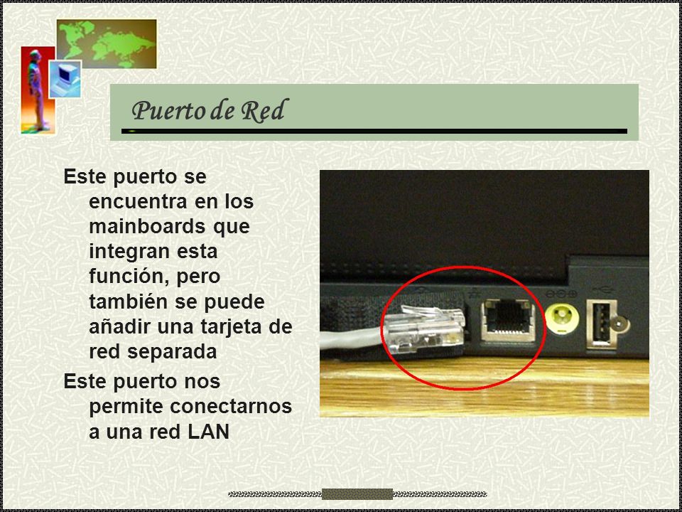 Puerto de Red Este puerto se encuentra en los mainboards que integran esta función, pero también se puede añadir una tarjeta de red separada.