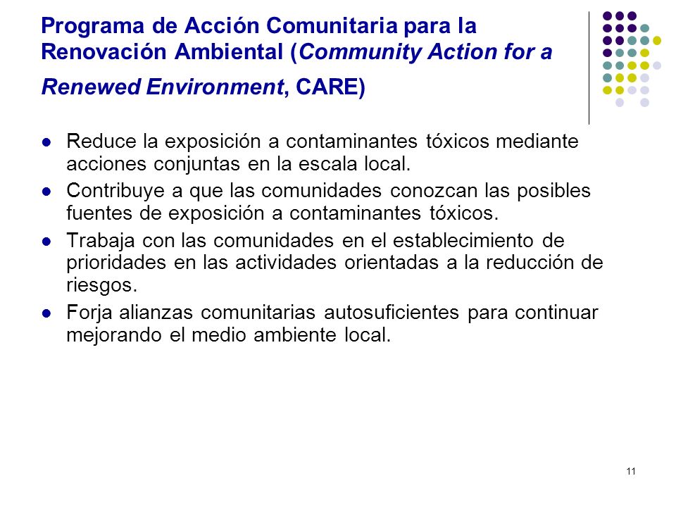 Programa de Acción Comunitaria para la Renovación Ambiental (Community Action for a Renewed Environment, CARE)