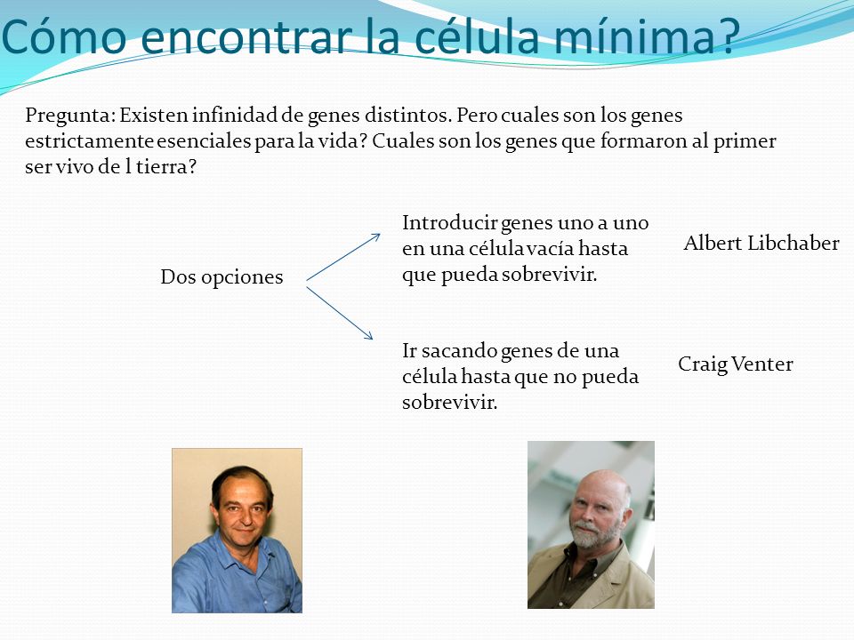 Cómo encontrar la célula mínima
