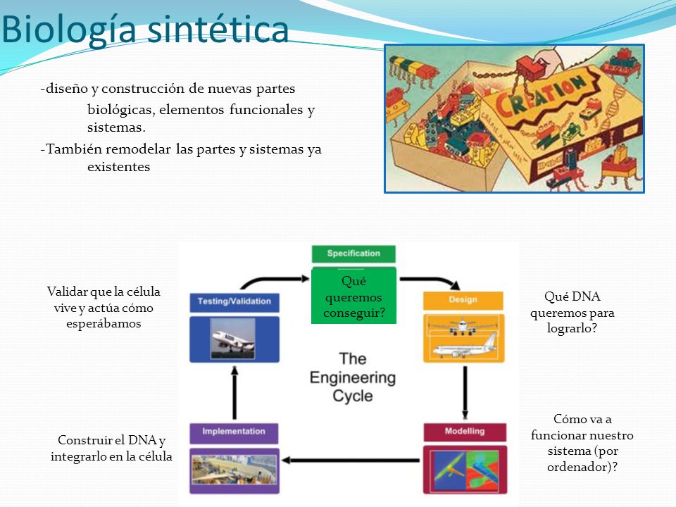 Biología sintética -diseño y construcción de nuevas partes biológicas, elementos funcionales y sistemas.
