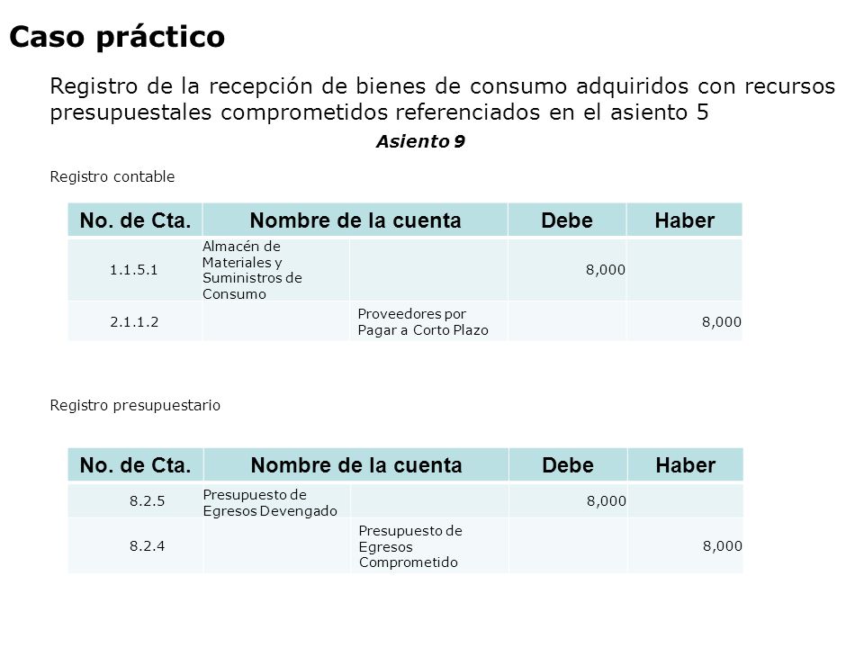 Caso práctico Registro de la recepción de bienes de consumo adquiridos con recursos presupuestales comprometidos referenciados en el asiento 5.