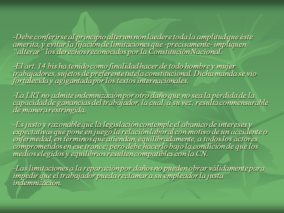 -Debe conferirse al principio alterum non laedere toda la amplitud que éste amerita, y evitar la fijación de limitaciones que -precisamente- impliquen alterar los derechos reconocidos por la Constitución Nacional.