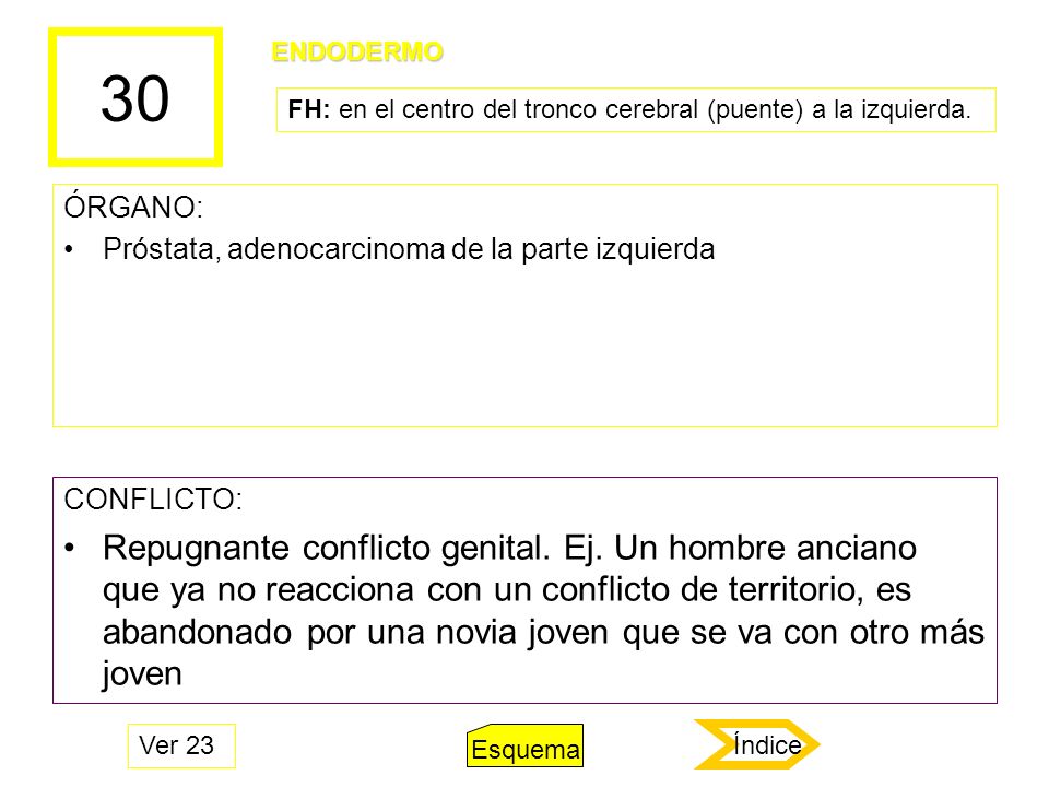 30 ENDODERMO. FH: en el centro del tronco cerebral (puente) a la izquierda. ÓRGANO: Próstata, adenocarcinoma de la parte izquierda.
