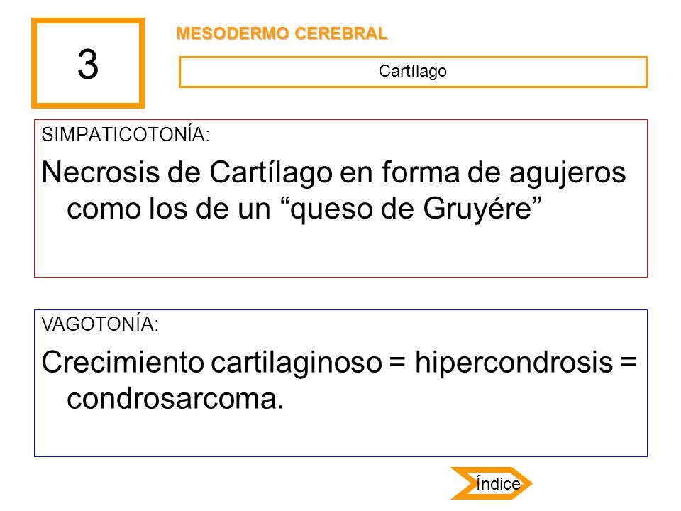 3 MESODERMO CEREBRAL. Cartílago. SIMPATICOTONÍA: Necrosis de Cartílago en forma de agujeros como los de un queso de Gruyére