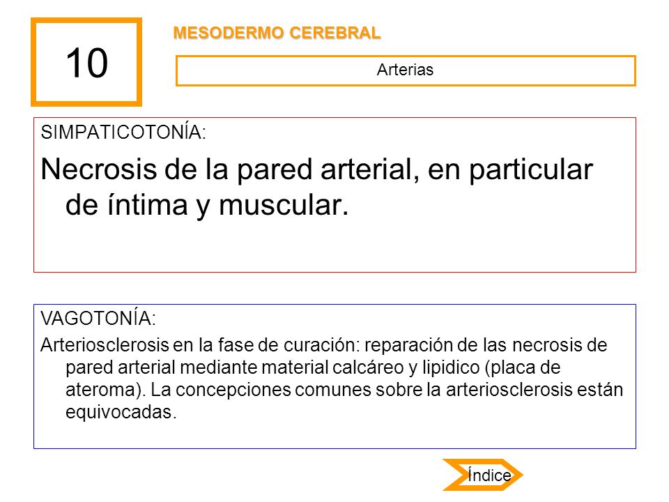 10 Necrosis de la pared arterial, en particular de íntima y muscular.