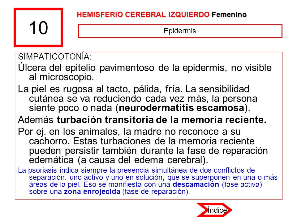 10 HEMISFERIO CEREBRAL IZQUIERDO Femenino. Epidermis. SIMPATICOTONÍA: Úlcera del epitelio pavimentoso de la epidermis, no visible al microscopio.