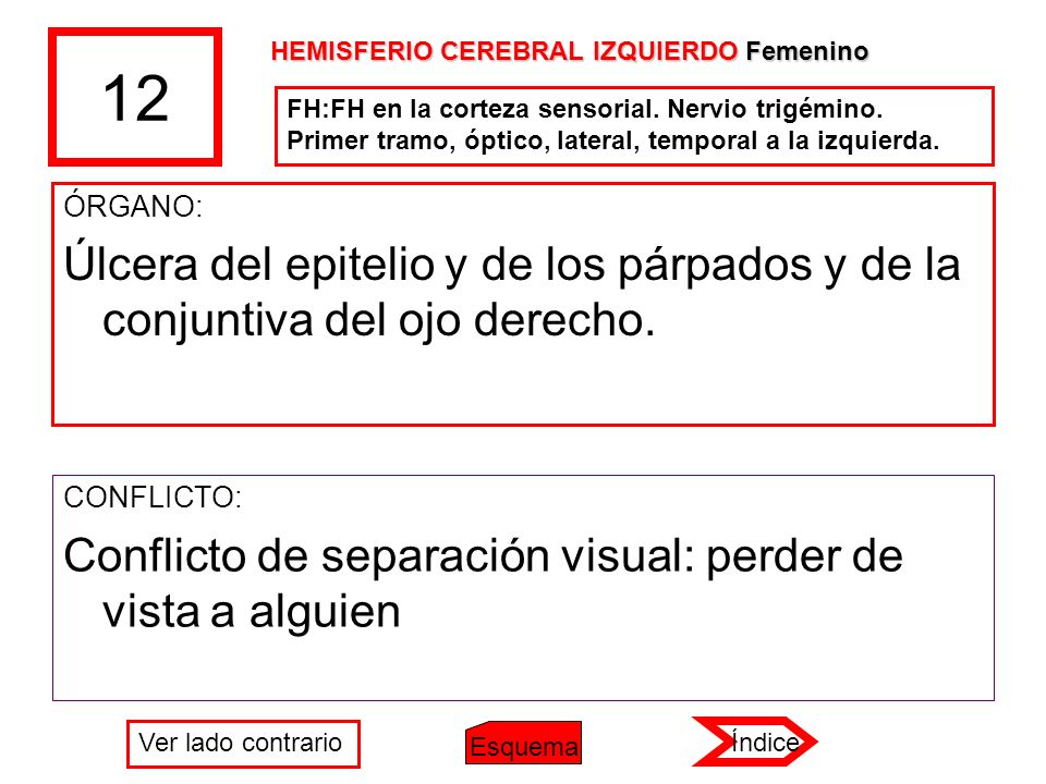 12 HEMISFERIO CEREBRAL IZQUIERDO Femenino. FH:FH en la corteza sensorial. Nervio trigémino. Primer tramo, óptico, lateral, temporal a la izquierda.