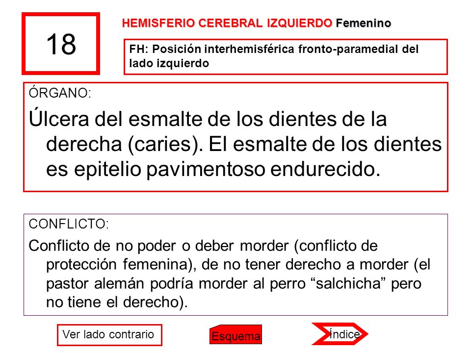 18 HEMISFERIO CEREBRAL IZQUIERDO Femenino. FH: Posición interhemisférica fronto-paramedial del lado izquierdo.