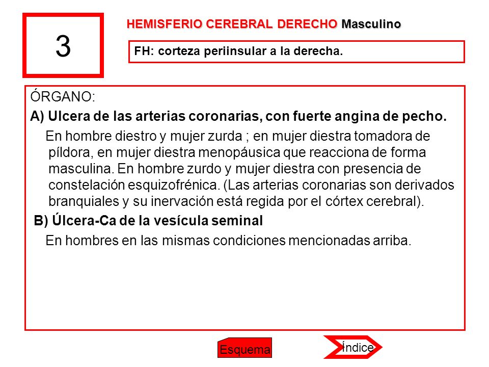 3 HEMISFERIO CEREBRAL DERECHO Masculino. FH: corteza periinsular a la derecha. ÓRGANO: