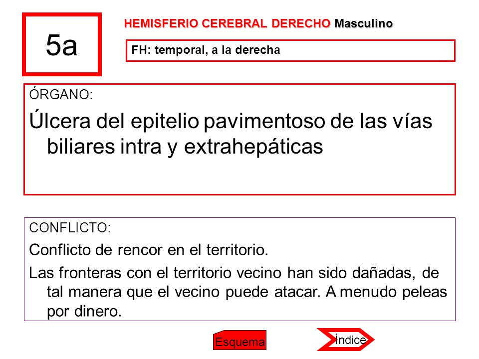 5a HEMISFERIO CEREBRAL DERECHO Masculino. FH: temporal, a la derecha. ÓRGANO: