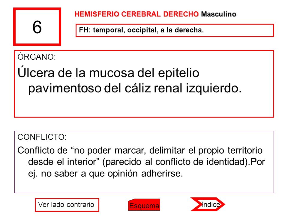 6 HEMISFERIO CEREBRAL DERECHO Masculino. FH: temporal, occipital, a la derecha. ÓRGANO: