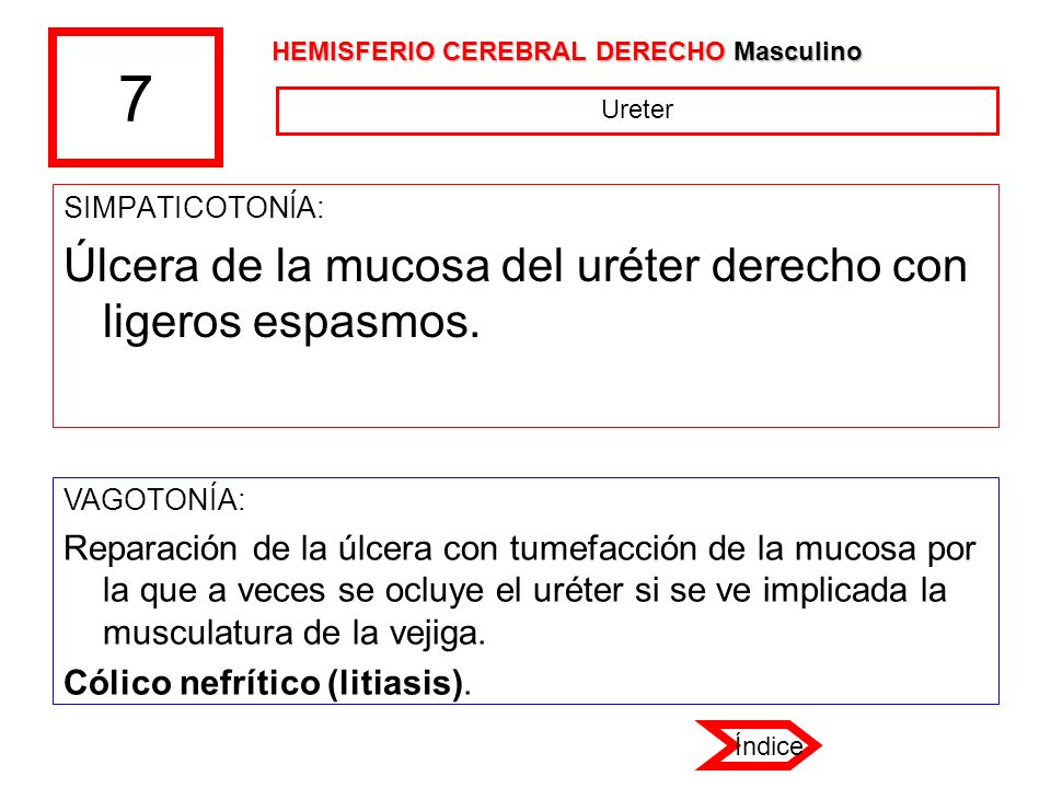 7 Úlcera de la mucosa del uréter derecho con ligeros espasmos.