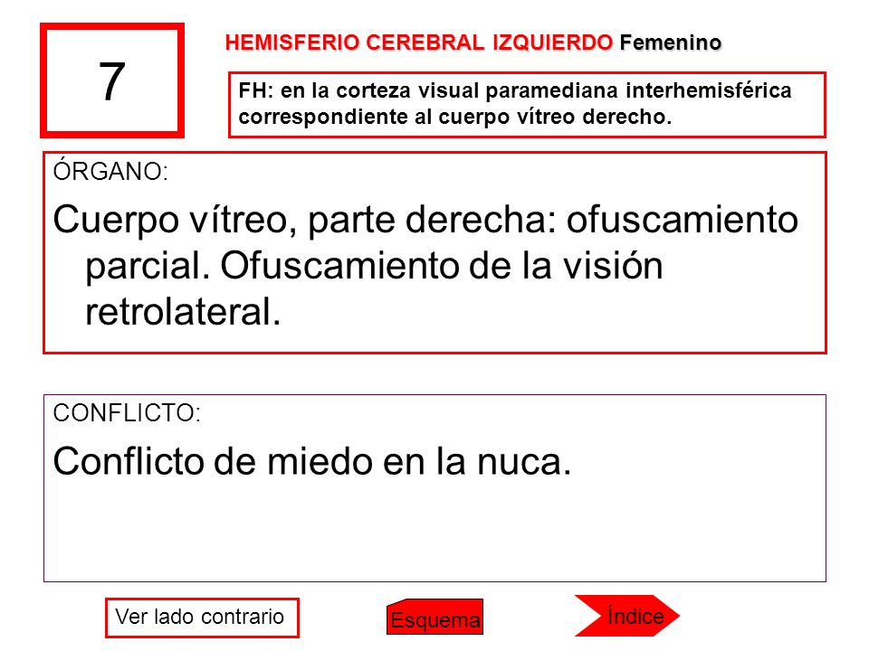7 HEMISFERIO CEREBRAL IZQUIERDO Femenino. FH: en la corteza visual paramediana interhemisférica correspondiente al cuerpo vítreo derecho.