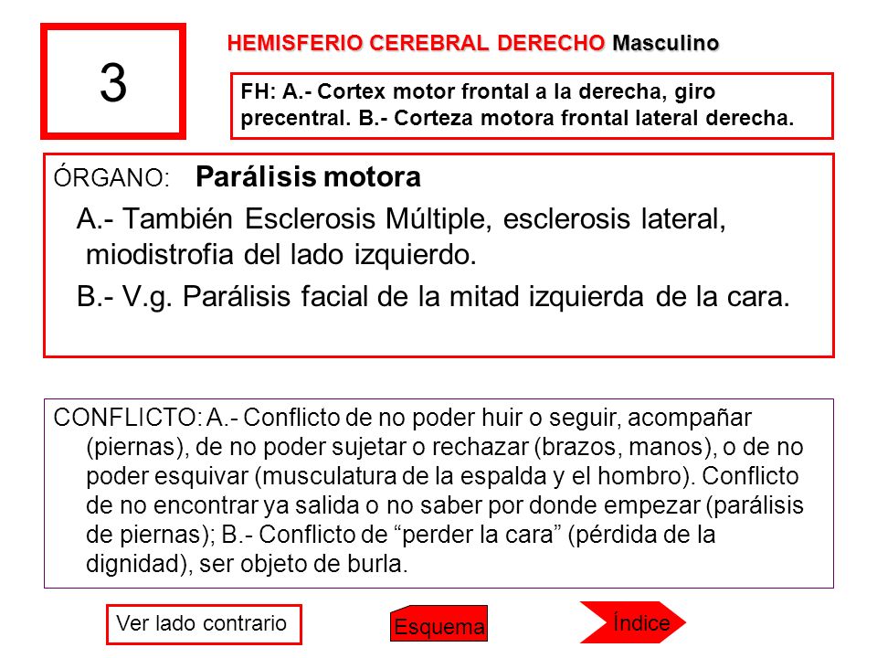 3 HEMISFERIO CEREBRAL DERECHO Masculino. FH: A.- Cortex motor frontal a la derecha, giro precentral. B.- Corteza motora frontal lateral derecha.