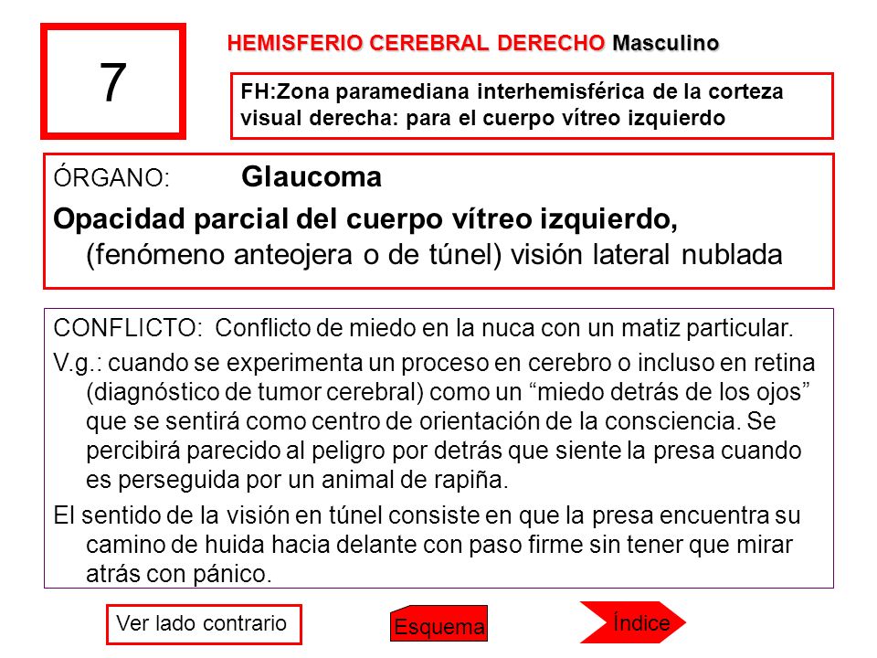 7 HEMISFERIO CEREBRAL DERECHO Masculino. FH:Zona paramediana interhemisférica de la corteza visual derecha: para el cuerpo vítreo izquierdo.
