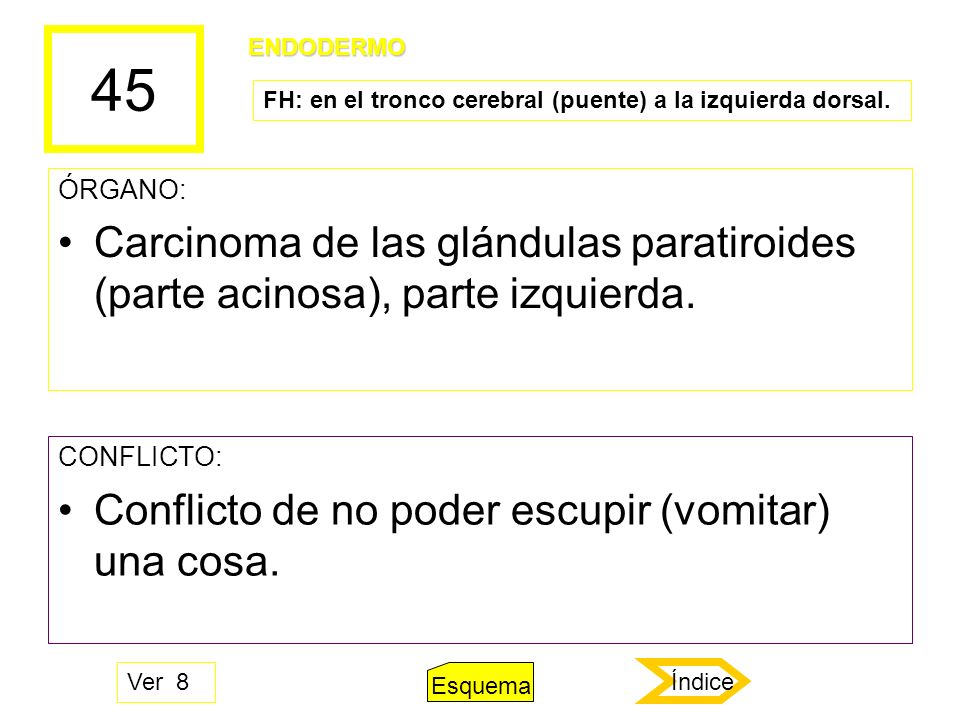 45 ENDODERMO. FH: en el tronco cerebral (puente) a la izquierda dorsal. ÓRGANO: