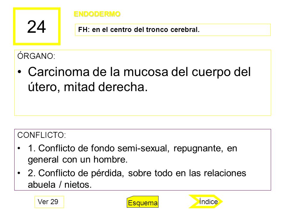 24 Carcinoma de la mucosa del cuerpo del útero, mitad derecha.