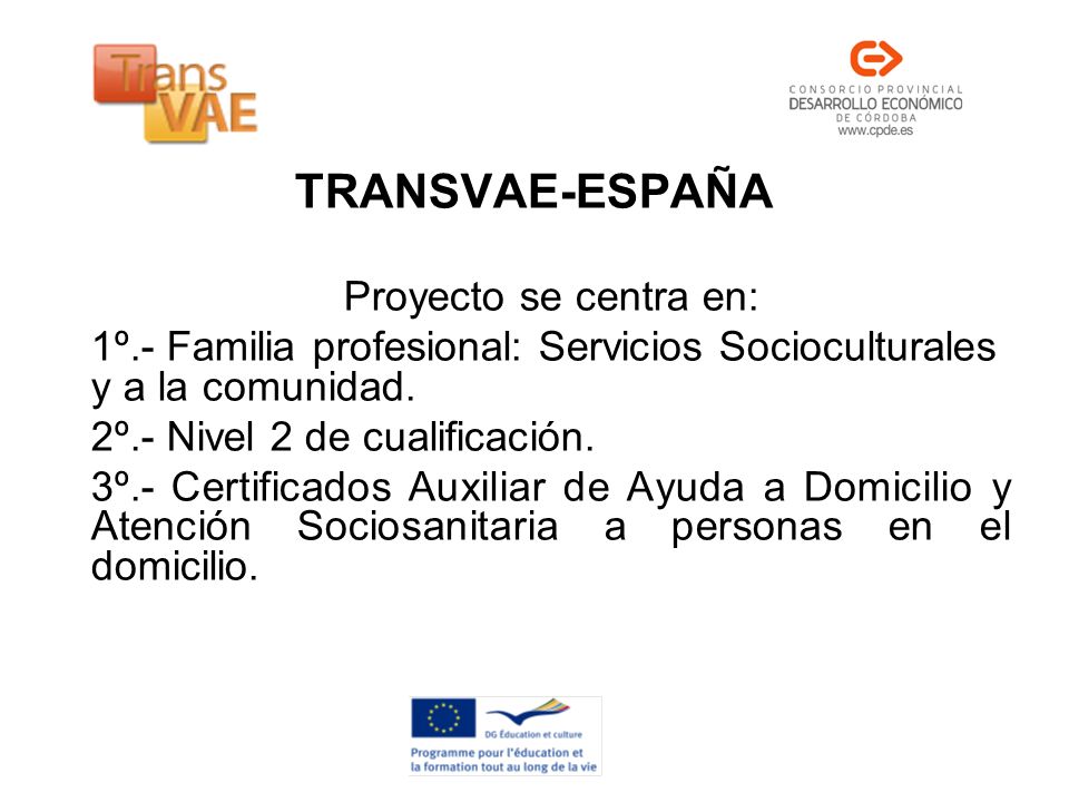 TRANSVAE-ESPAÑA Proyecto se centra en:
