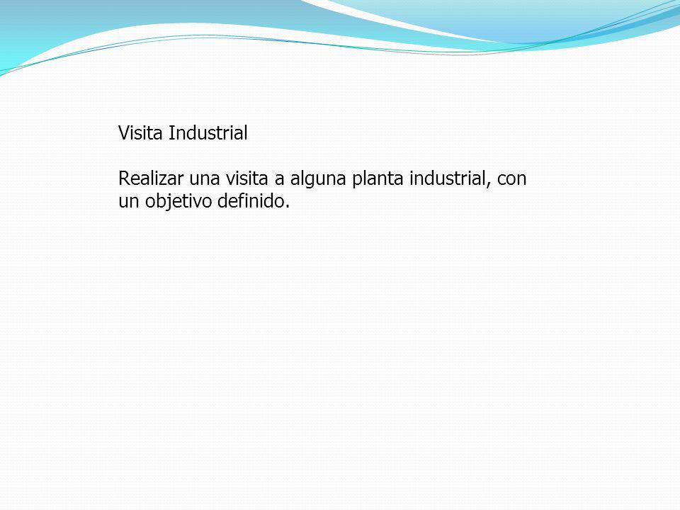 Visita Industrial Realizar una visita a alguna planta industrial, con un objetivo definido.