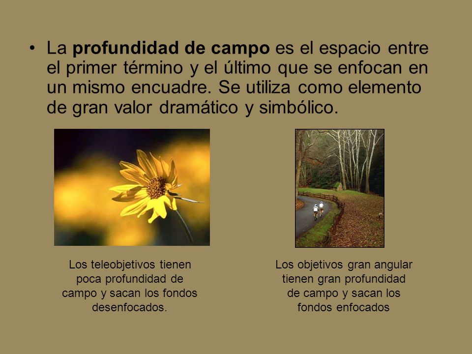 La profundidad de campo es el espacio entre el primer término y el último que se enfocan en un mismo encuadre. Se utiliza como elemento de gran valor dramático y simbólico.