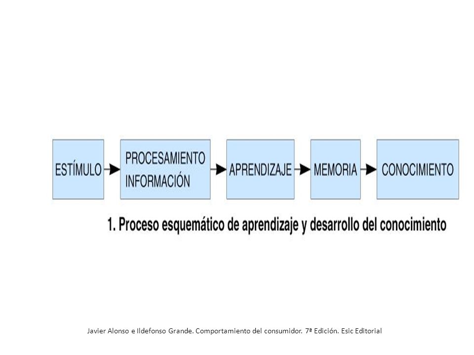 Javier Alonso e Ildefonso Grande. Comportamiento del consumidor