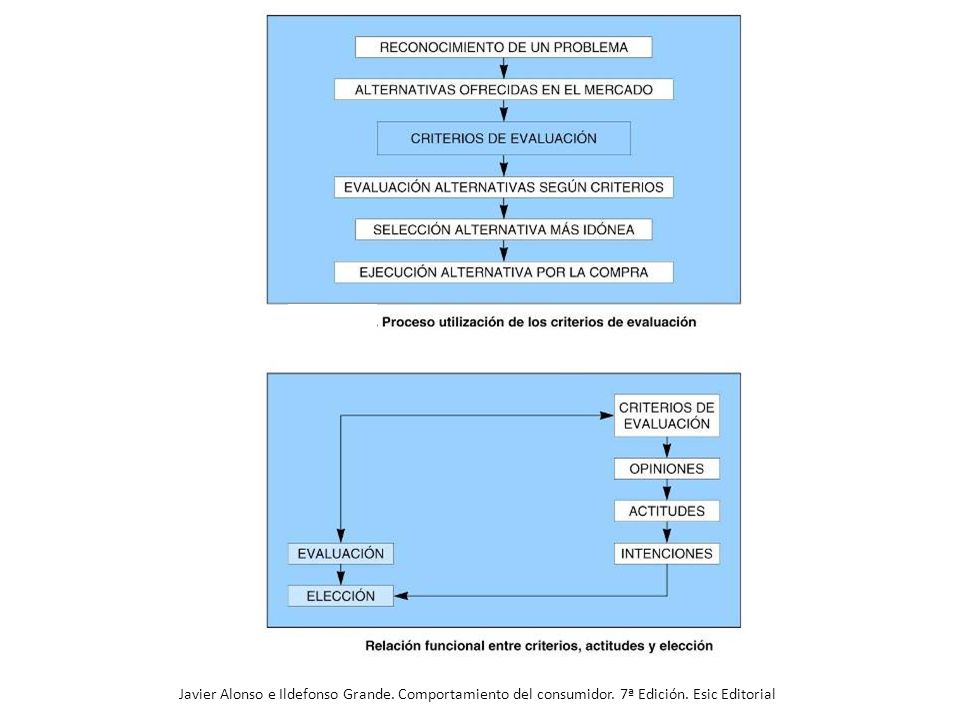 Javier Alonso e Ildefonso Grande. Comportamiento del consumidor