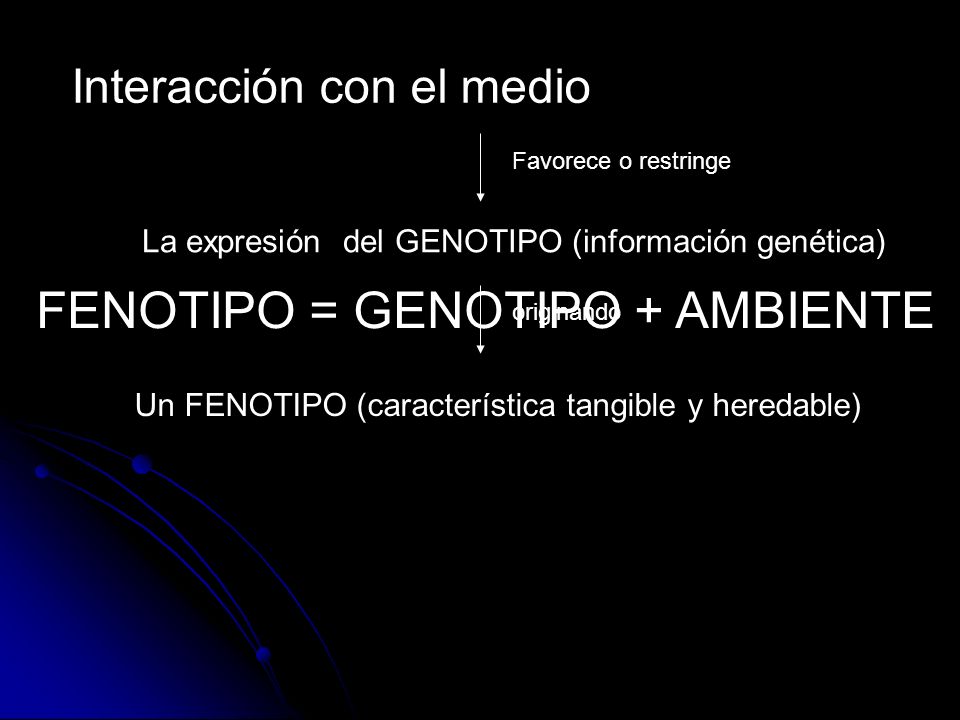 FENOTIPO = GENOTIPO + AMBIENTE