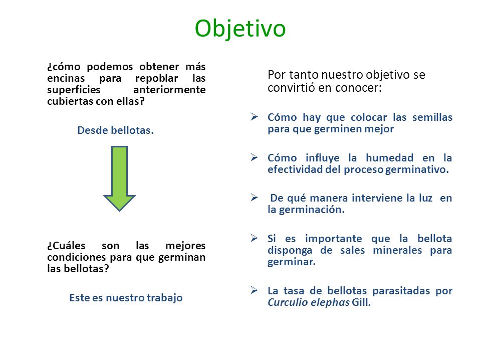 Este es nuestro trabajo