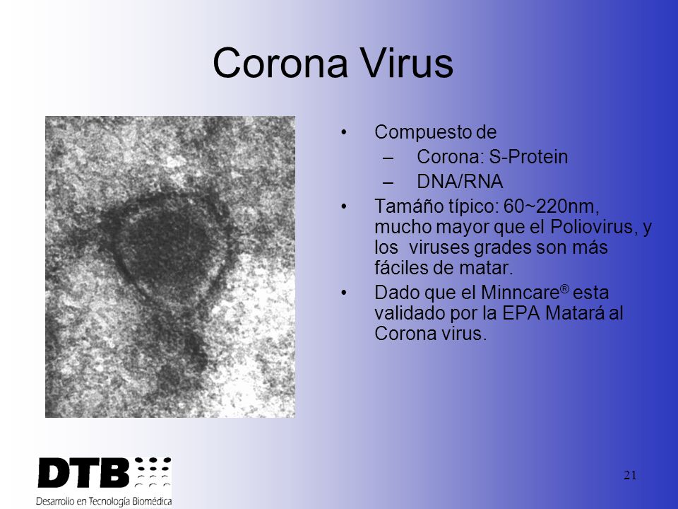 Corona Virus Compuesto de Corona: S-Protein DNA/RNA