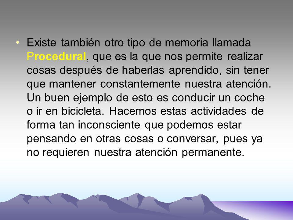 Existe también otro tipo de memoria llamada Procedural, que es la que nos permite realizar cosas después de haberlas aprendido, sin tener que mantener constantemente nuestra atención.