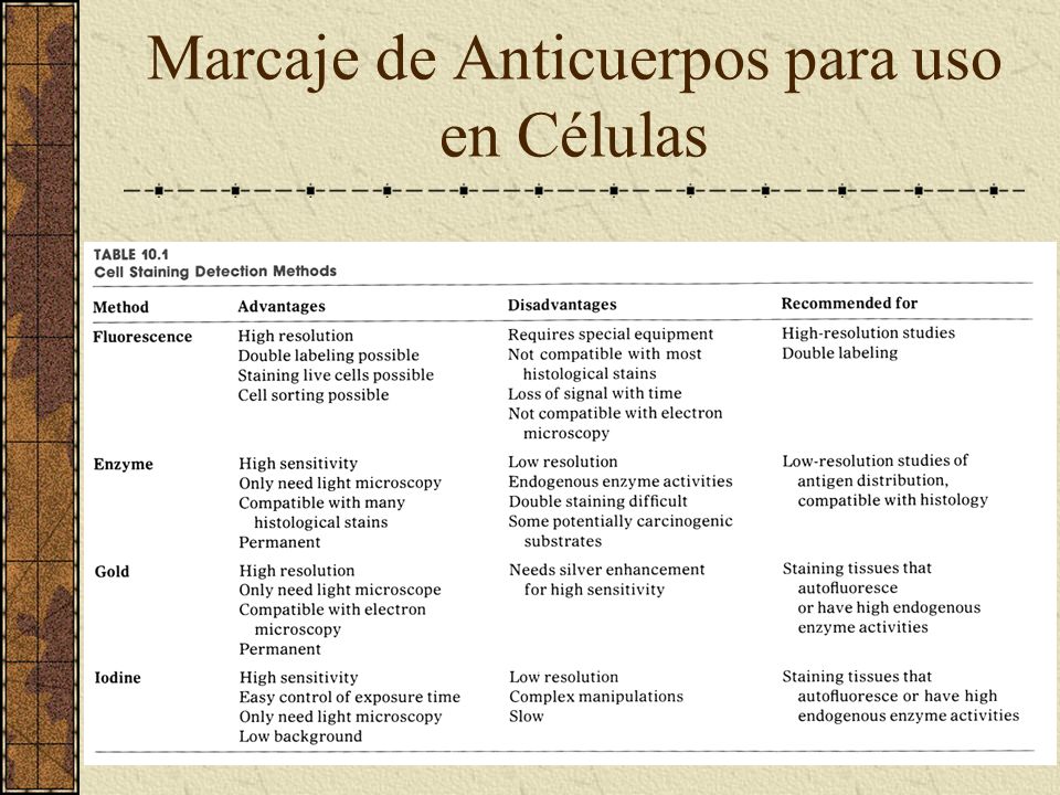 Marcaje de Anticuerpos para uso en Células