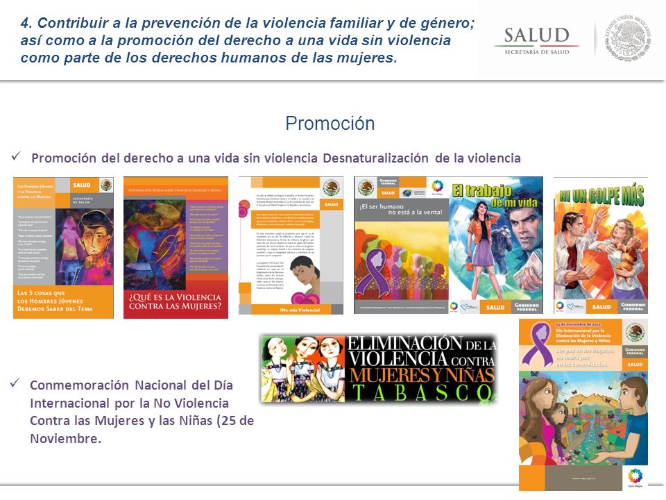 4. Contribuir a la prevención de la violencia familiar y de género; así como a la promoción del derecho a una vida sin violencia como parte de los derechos humanos de las mujeres.