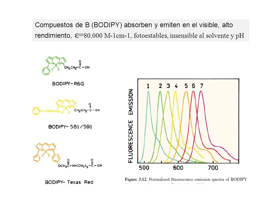 Compuestos de B (BODIPY) absorben y emiten en el visible, alto rendimiento, ε= M-1cm-1, fotoestables, insensible al solvente y pH