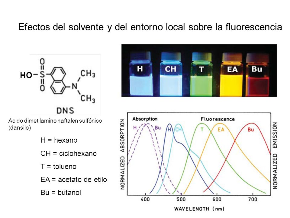 Efectos del solvente y del entorno local sobre la fluorescencia