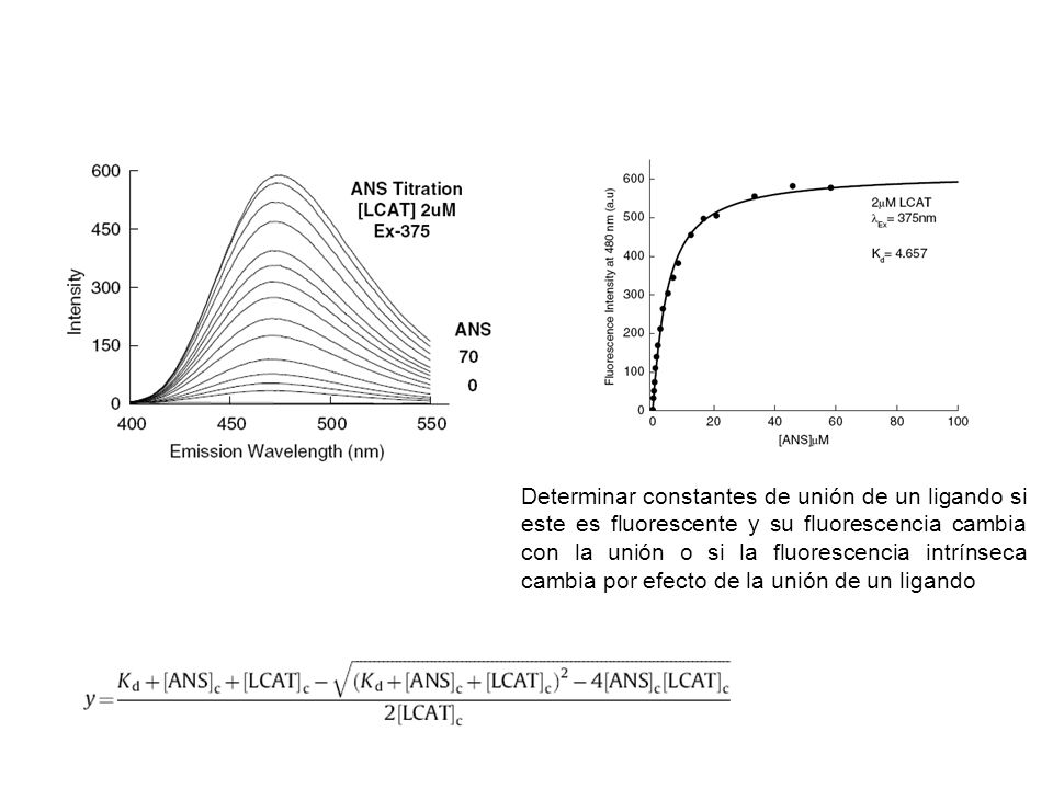 Determinar constantes de unión de un ligando si este es fluorescente y su fluorescencia cambia con la unión o si la fluorescencia intrínseca cambia por efecto de la unión de un ligando