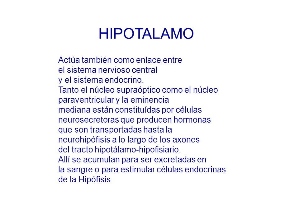 HIPOTALAMO Actúa también como enlace entre el sistema nervioso central