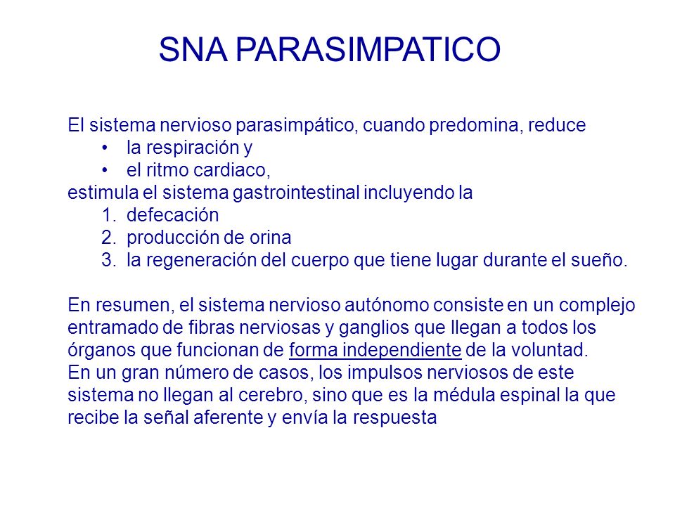 SNA PARASIMPATICO El sistema nervioso parasimpático, cuando predomina, reduce. la respiración y. el ritmo cardiaco,