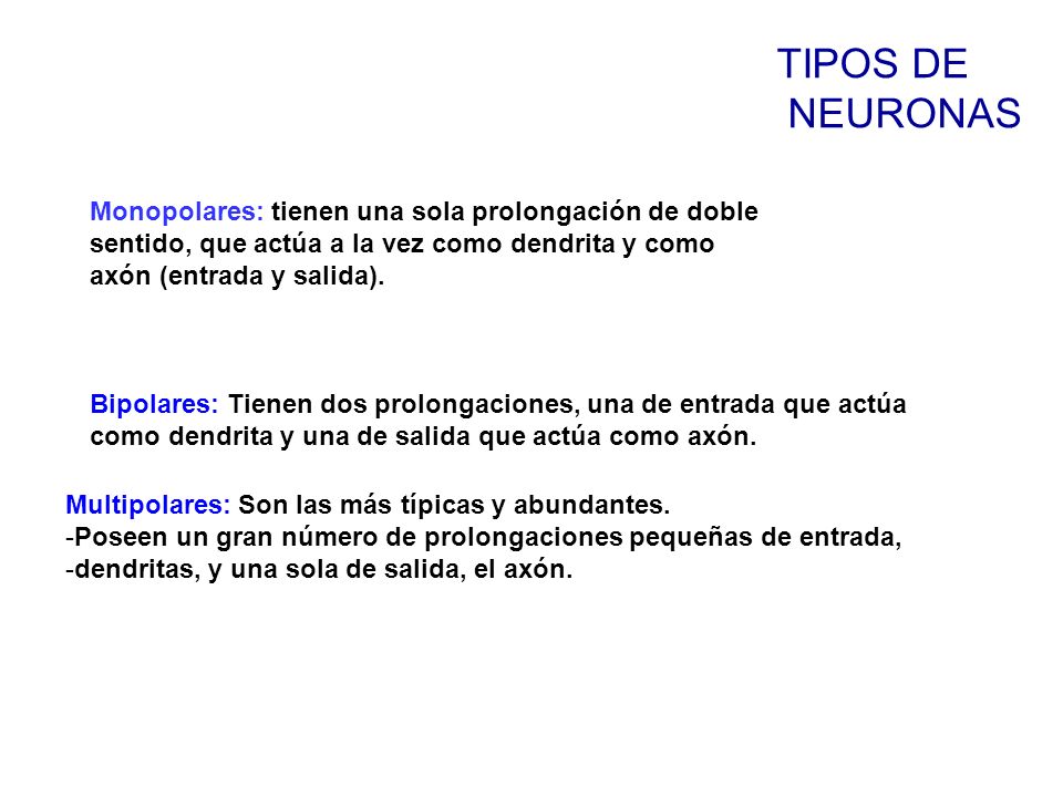 TIPOS DE NEURONAS Monopolares: tienen una sola prolongación de doble sentido, que actúa a la vez como dendrita y como axón (entrada y salida).