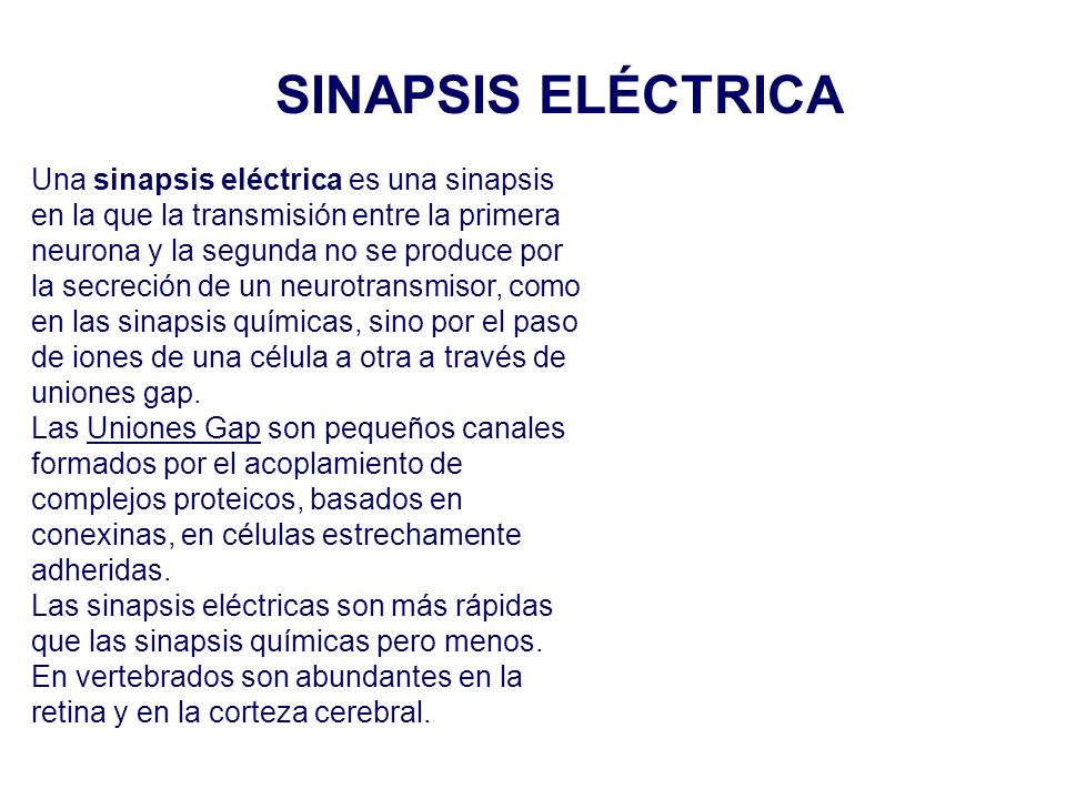 SINAPSIS ELÉCTRICA Una sinapsis eléctrica es una sinapsis en la que la transmisión entre la primera.